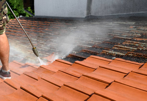 Trusted Longview, WA Pressure Washing Experts