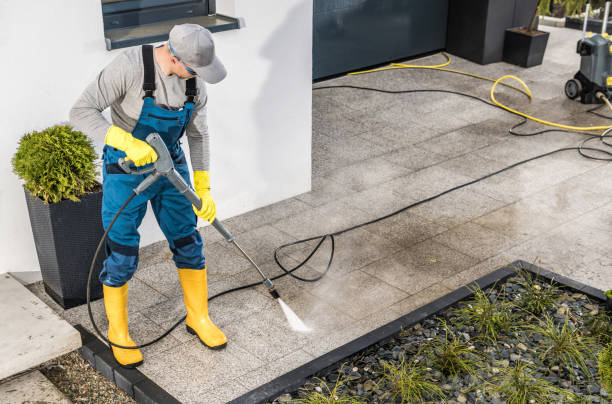 Best Local Pressure Washing Services  in Longview, WA